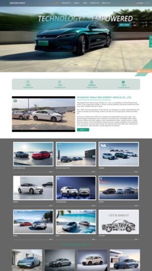 信汇新能源车业（比亚迪）